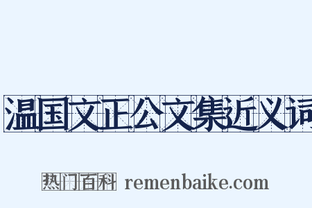 温国文正公文集近义词是什么意思的图片